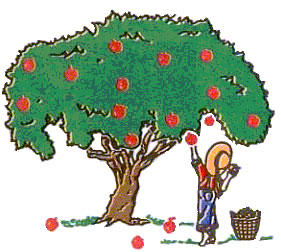 Cậu Bé Và Cây Táo The Boy And The Apple Tree - Phật Pháp Tuổi Trẻ - THƯ  VIỆN HOA SEN