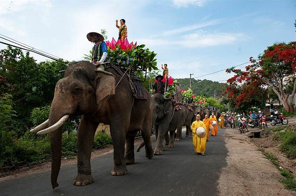 Đoàn voi rước Phật về buôn 2