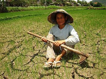 Xâm nhập mặn và hạn hán ở Việt Nam