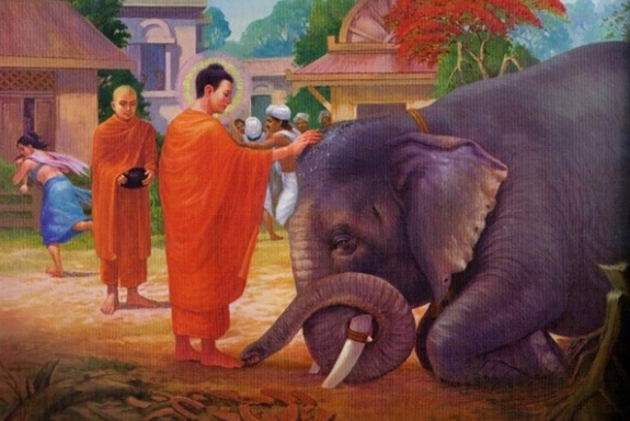Quan điểm của Đạo Phật về sát sanh và chiến tranh