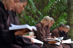 Đức Phật không dạy cho học trò trở thành học giả, Ngài luôn hướng học trò đến sự thực hành, thực chứng - Ảnh minh họa